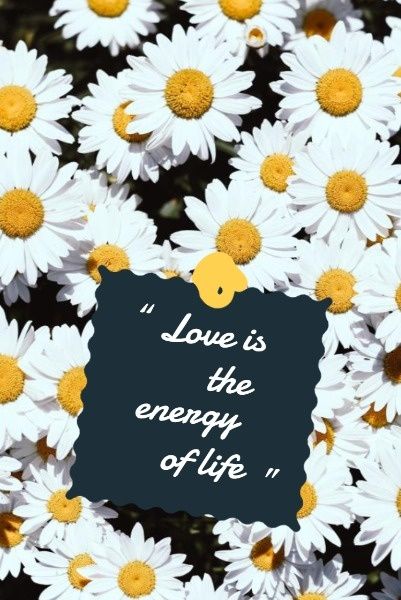 motto, quotes, mottoes, White And Yellow Daisy Flower Quote Pinterest Post Template