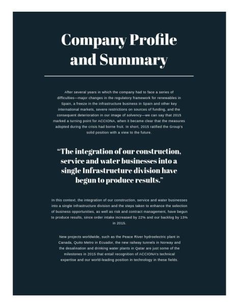marketing,  business,  company, Photography Geek Annual Report Template Report Template