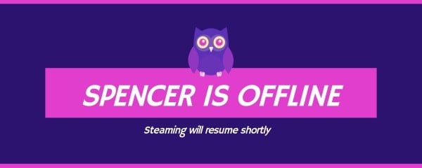 Purple Owl Gaming  Twitch Banner