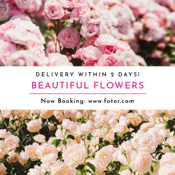 美丽的鲜花销售 Instagram帖子