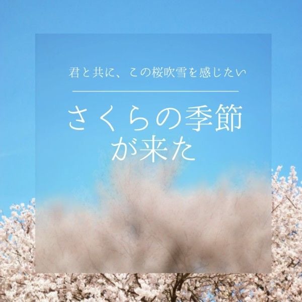 view, flower, social media, Blue Sakura Season Instagram Post Template