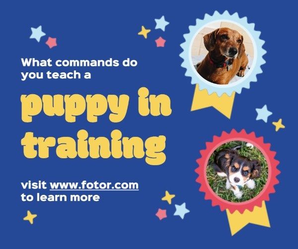 青い子犬のトレーニング サービス広告 Facebook投稿