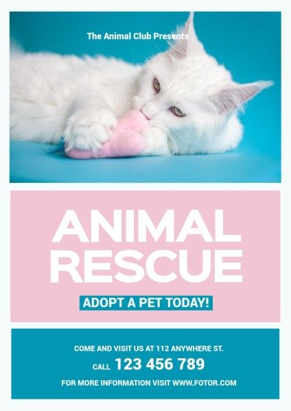 shelter, help animal, cat, Blue Animal Rescue Poster Template