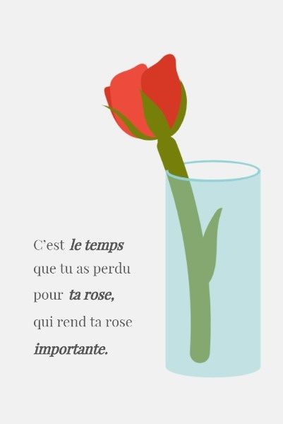 inspirational, inspiration, inspired, Little Prince Rose Quote Pinterest Post Template