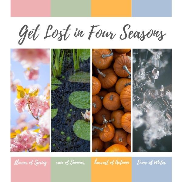 spring, summer, autumn, Beautiful Seasons Instagram Post Template