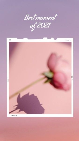 rose, flower, film, Pink Best Moment Of 2021 Instagram Story Template