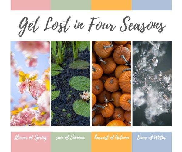 spring, summer, autumn, Four Seasons Facebook Post Template