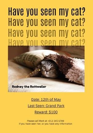 pet, animal, missing cat, Have You Seen My Cat Poster Template