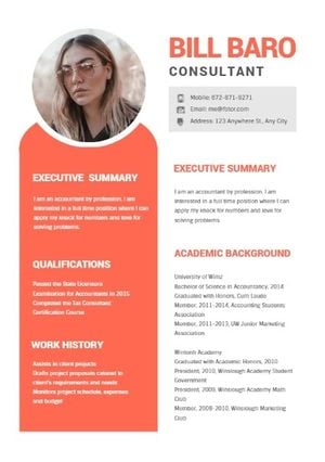 Consultant CV Resume