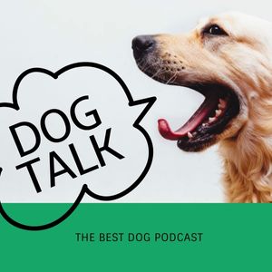 puppy, life, cute, New Dog Talk Podcast Cover Template