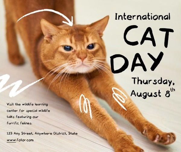 国际猫日 Facebook帖子