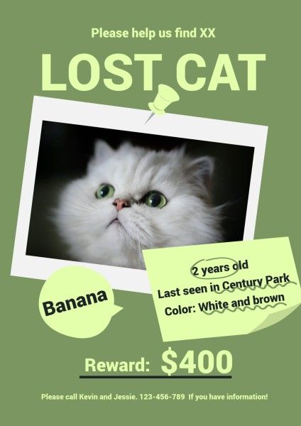 绿色迷路猫搜查通知 英文海报