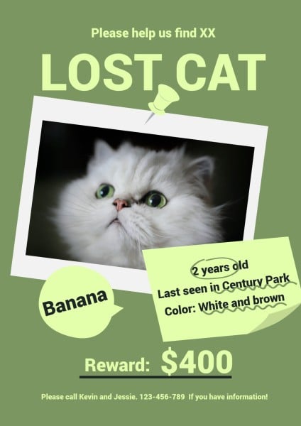 Green Lost Cat Search Notice Poster