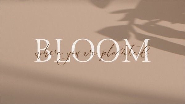 700 Brown Aesthetic Wallpapers  Wallpaperscom