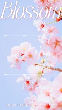 カメラフォーカス春の花旅行写真 Instagram Story