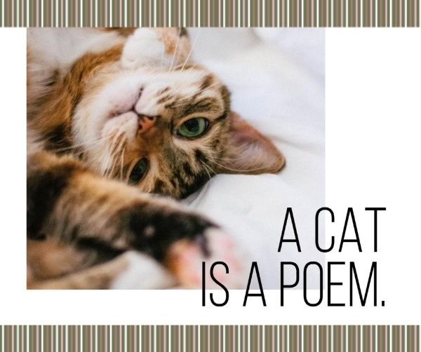 cat, poem, dog, Simple Kitty Collage Facebook Post Template