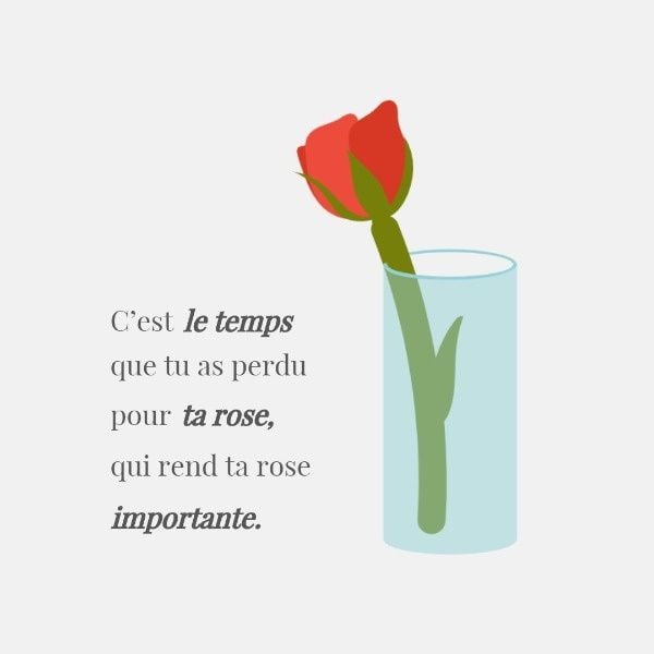 life, vase, water, Little Prince Rose Quote Instagram Post Template