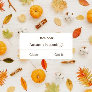 fall, season, greeting, Simple Autumn Reminder Instagram Post Template
