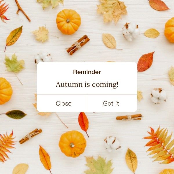 简单的秋天提醒 Instagram帖子