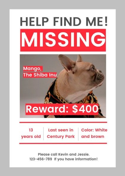 白行方不明の犬の検索通知 ポスター
