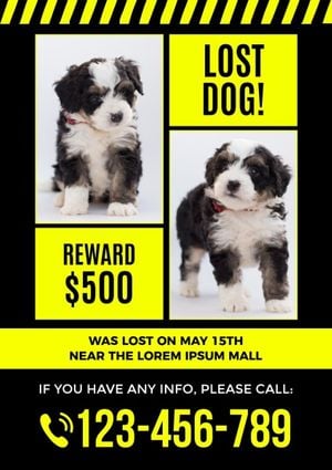 56 Free Lost Dog Poster Templates to Design and Customize for Free | Fotor