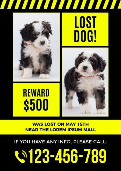 黒と黄色の行方不明の犬の広告 ポスター