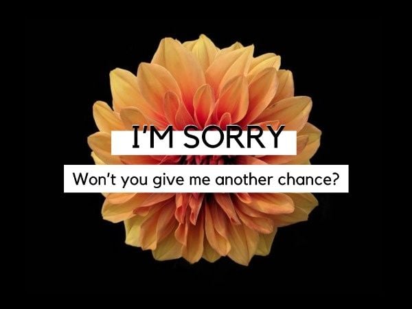 sorry, im sorry, apologize, Black Apology Card Template