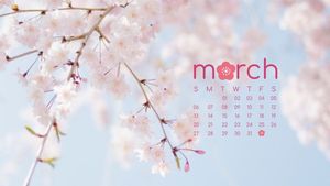 flower, photo, life, Pink March Spring Monthly Calendar Template