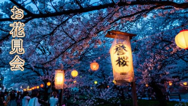 view, night, lantern, Blue Sakura Ceremony Zoom Background Template