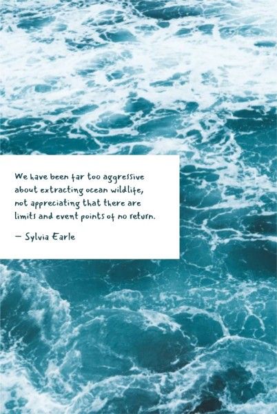 ngo, non-profit, photo, Blue Simple Environment Protection Quote Pinterest Post Template