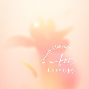 abstract, star, flower, Pink Dreamy Gradient Spring Quote Instagram Post Template