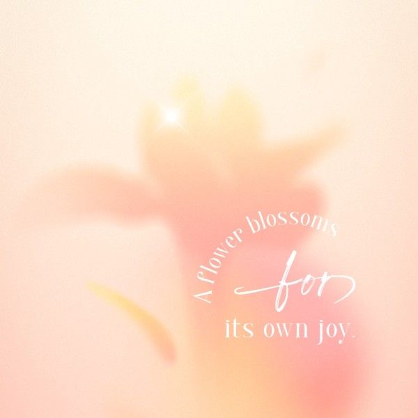 abstract, star, flower, Pink Dreamy Gradient Spring Quote Instagram Post Template