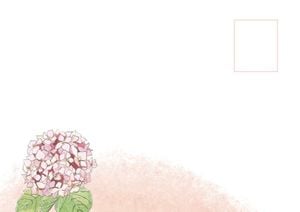 season, greeting, life, Pink Summer Flower Postcard Template