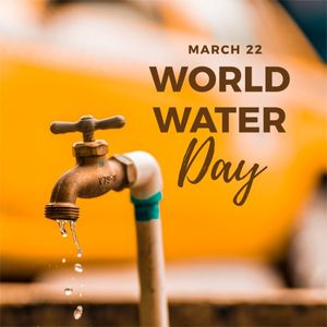 Brown Simple Photo World Water Day Instagram Post