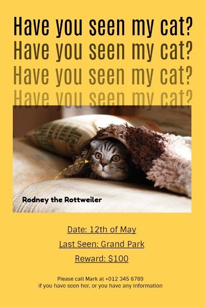 pet, animal, missing cat, Have You Seen My Cat Pinterest Post Template