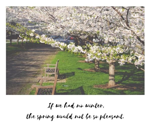 season, quotes, inspiration, Spring quote Facebook Post Template