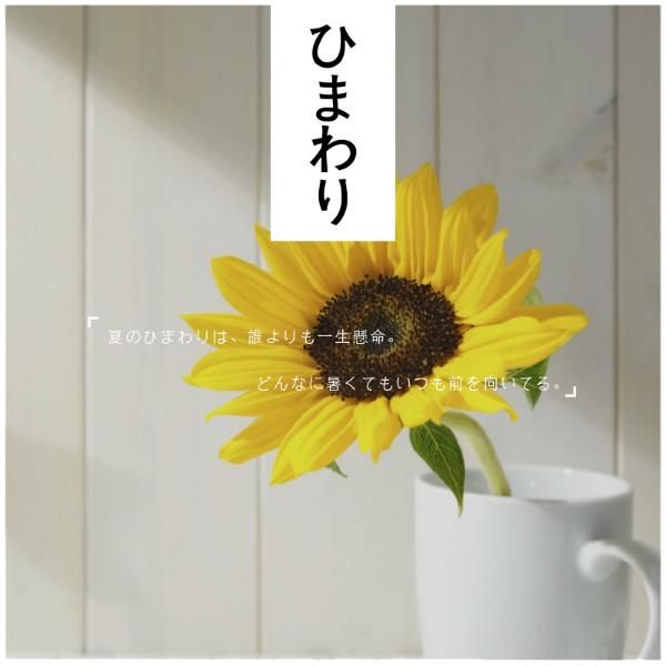 story, media, social media, Summer Sunflower Instagram Post Template