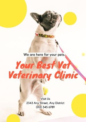pet, clinic, dog, Veterinary Hospital Poster Template