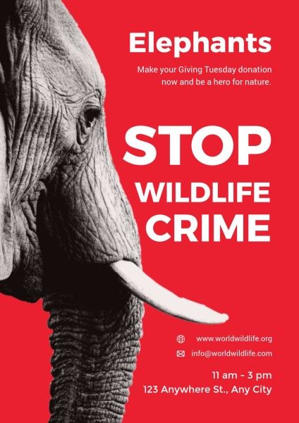 红色简单野生动物捐赠活动 英文海报