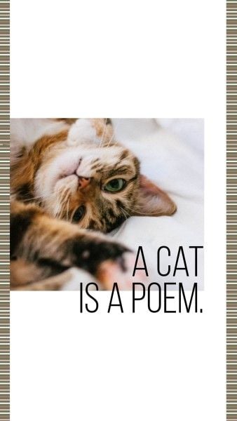 cat, motto, quote, Simple Kitty Collage Instagram Story Template