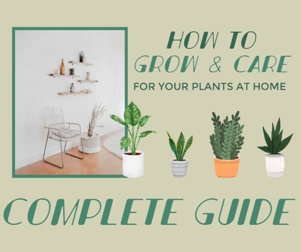house, cultivation, flowerpot, How To Care Your Plant At Home Facebook Post Template