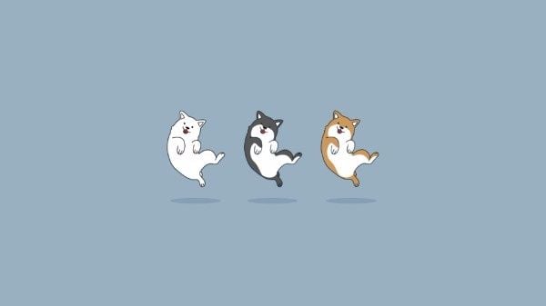 dance, animal, Lovely, Cute pet dog Desktop Wallpaper Template