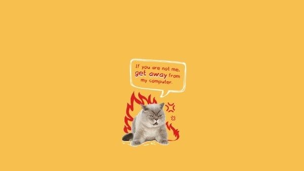 animal, angry, fire, Cute Cat Icon Logo Desktop Wallpaper Template