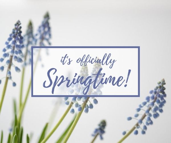 season, spring time, lavender, Spring purple Facebook Post Template