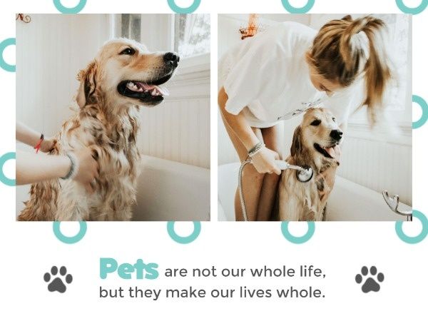 pets, animal, dog, Pet Friends Card Template