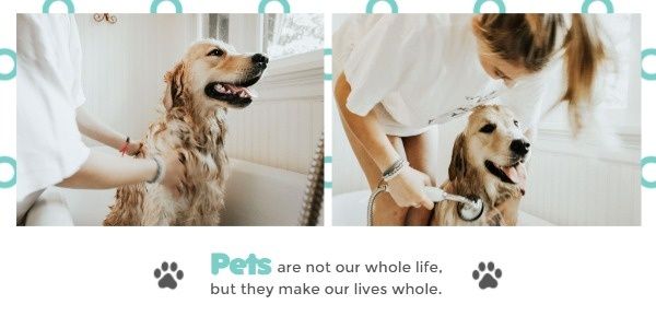 dog, animal, friendship, Get Along With Pets Twitter Post Template