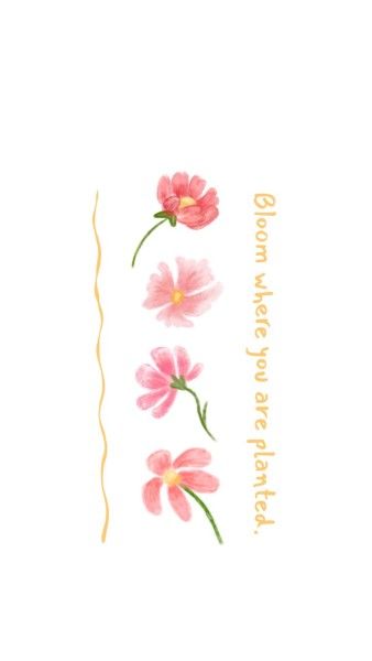 plants, blossom, life, Beautiful Pink Flower Mobile Wallpaper Template