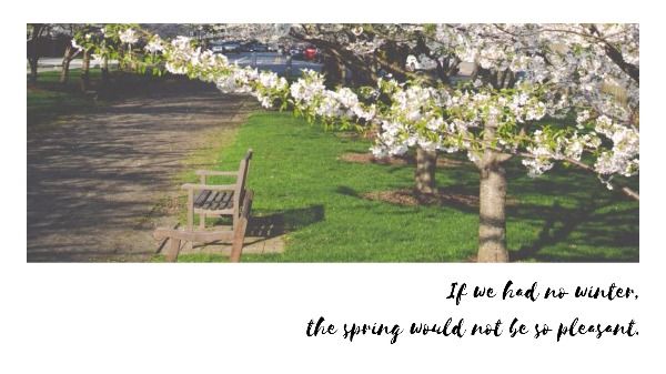 spring, season, motto, Blooming Fruit Tree Desktop Wallpaper Template