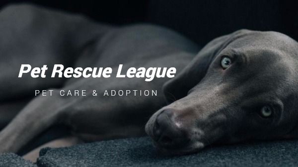 Pet Adoption Youtube Thumbnail