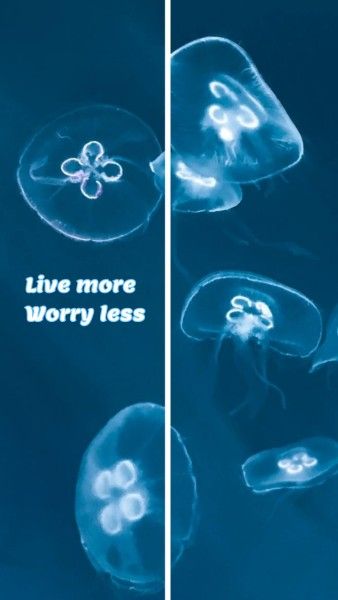 life, sea, 720p, Blue Jellyfish Quote Mobile Wallpaper Template